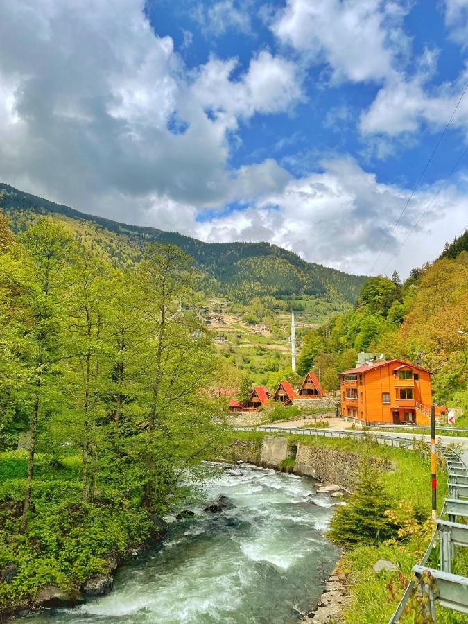 The Wooden House Uzungoel Uzungöl Dış mekan fotoğraf