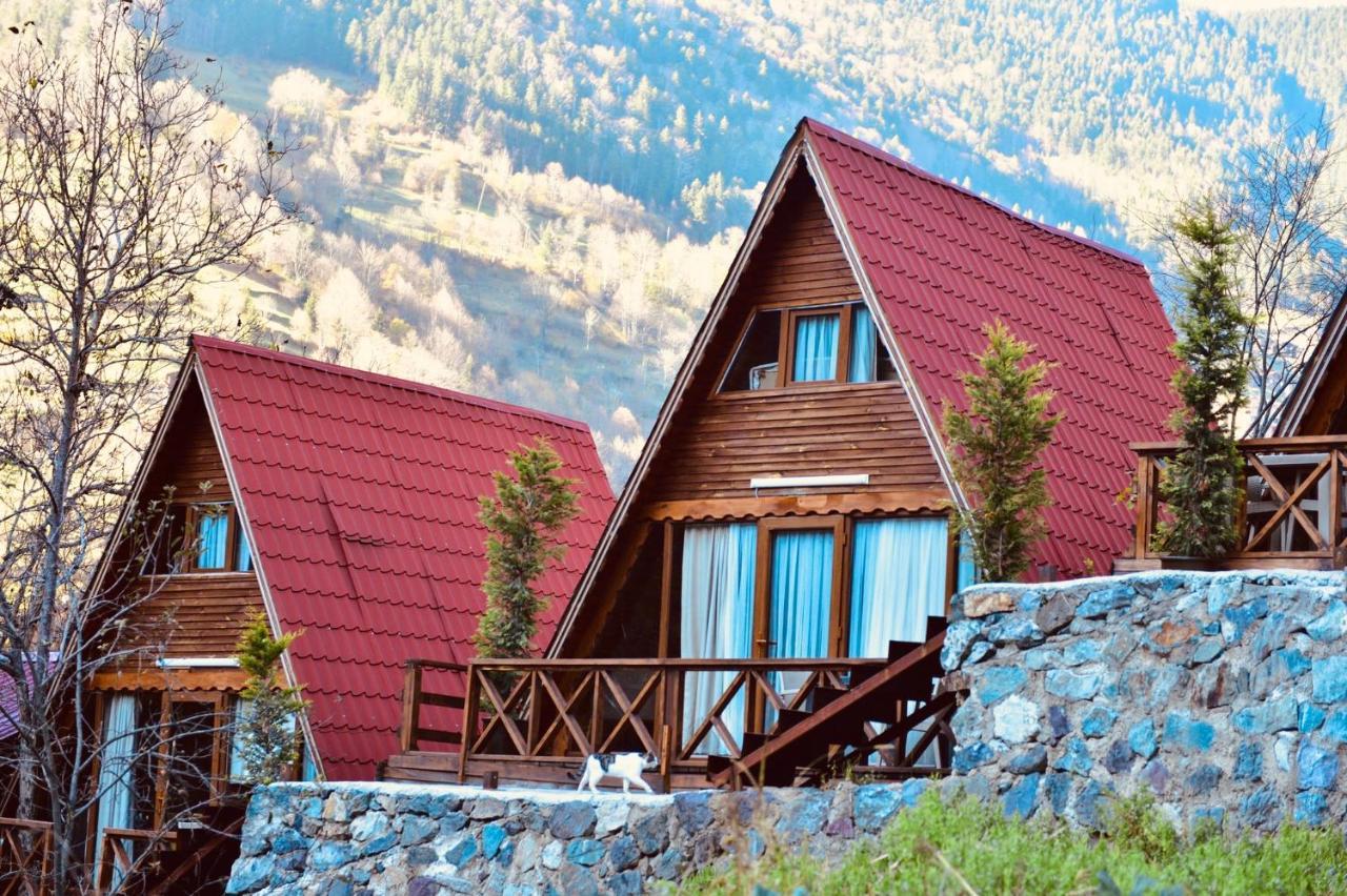 The Wooden House Uzungoel Uzungöl Dış mekan fotoğraf