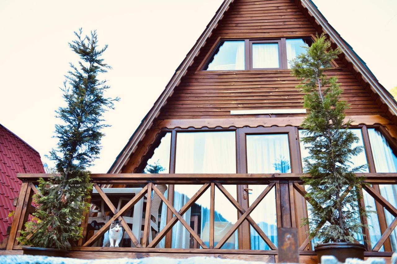 The Wooden House Uzungoel Uzungöl Dış mekan fotoğraf
